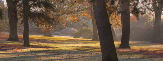 DDOS在线压力测试